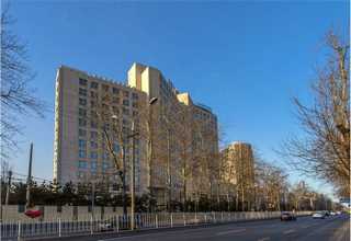 催化剂载体异丙醇铝替代进口