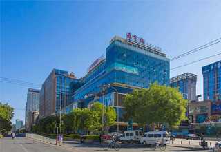 北京满天星花种售卖