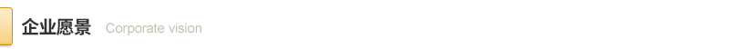 1596642157.png 企业愿景.png